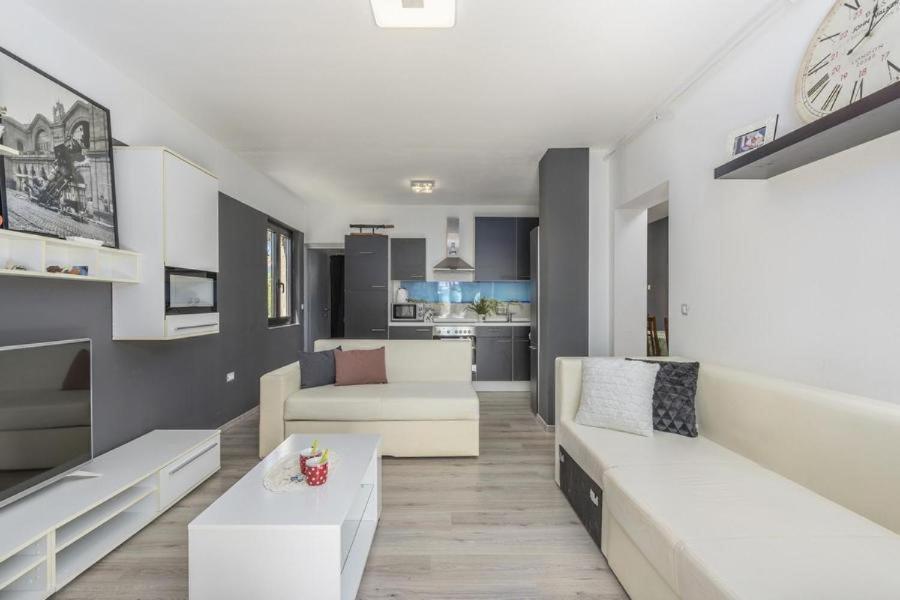 Apartment Zak Novigrad Istria Extérieur photo